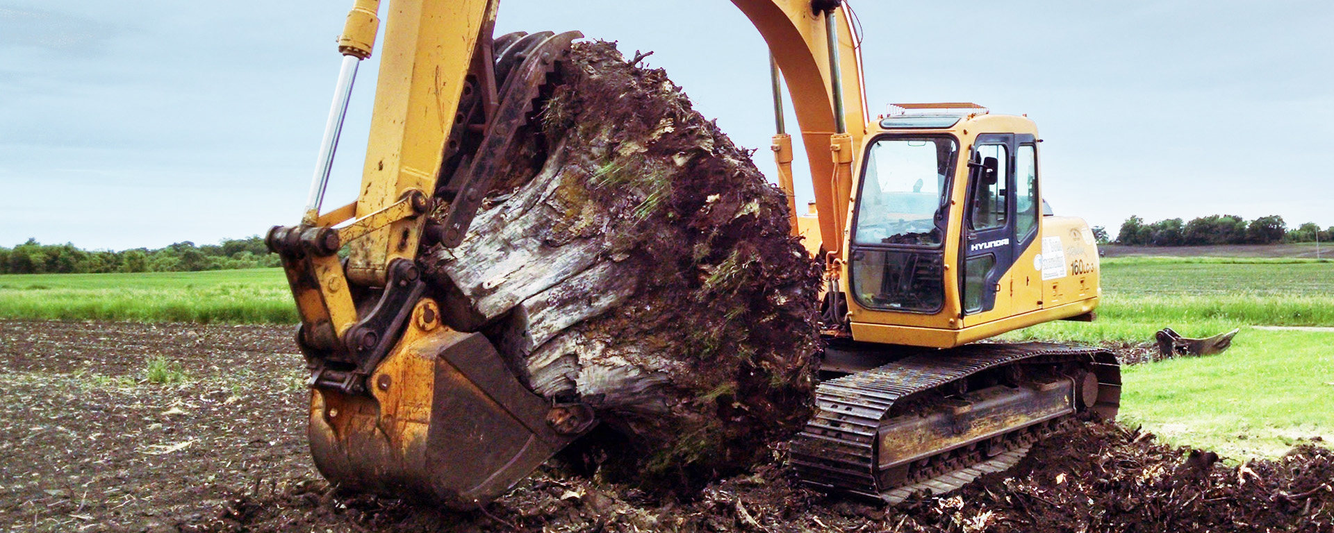 Stump Removal